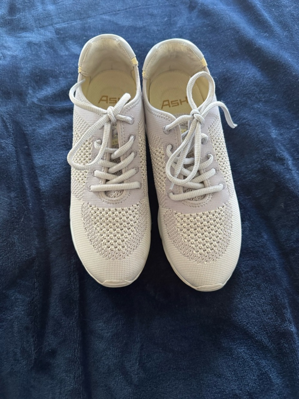 Ash Women's Knit Lace-Up Sneakers in Light Beige